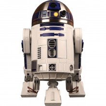 models to build for adults