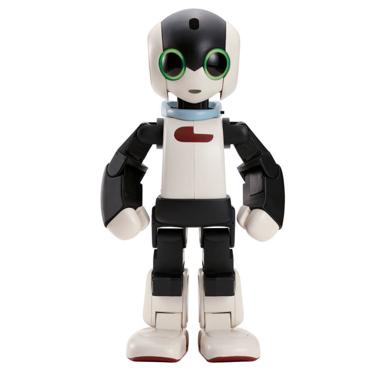 Robi Robot