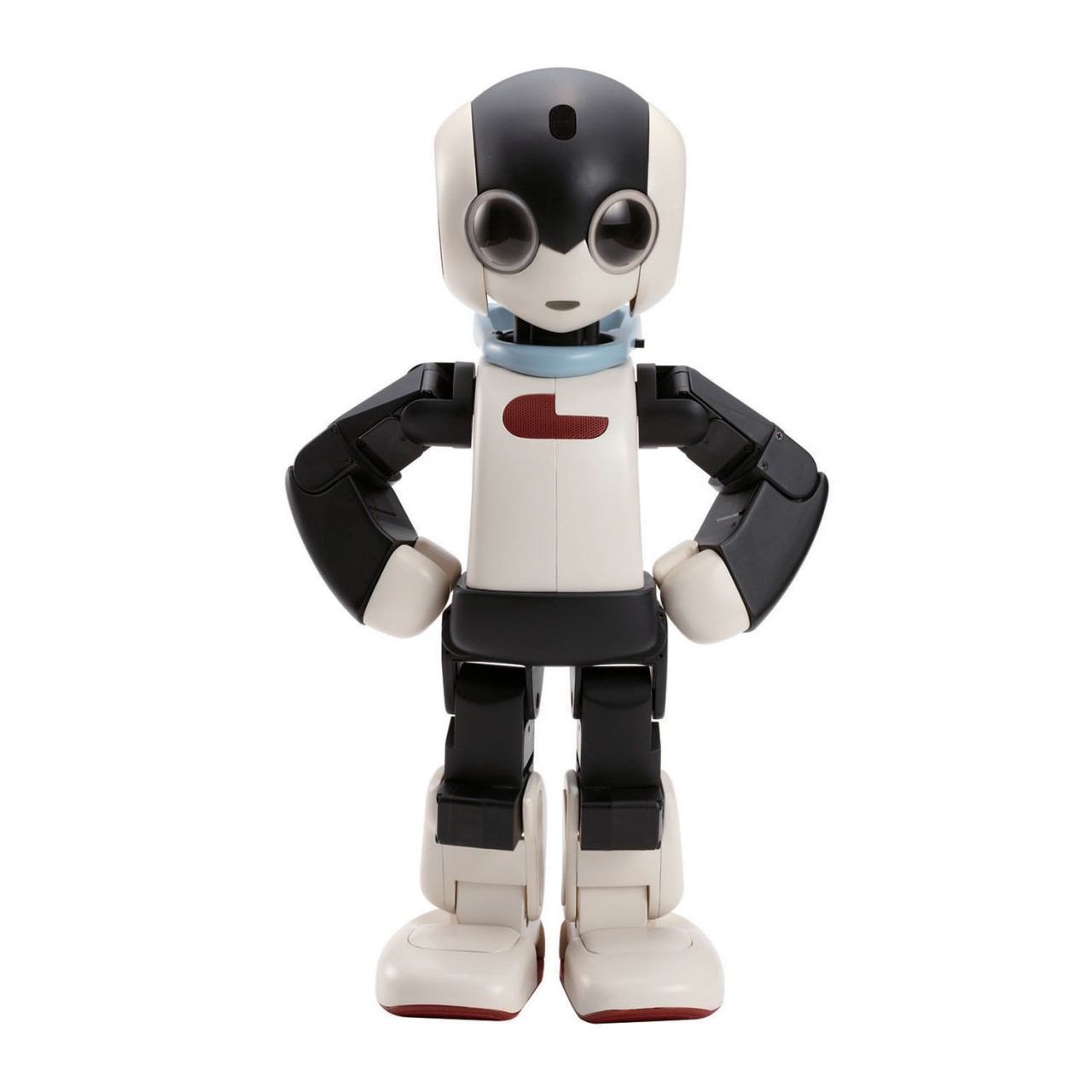 Robi - 