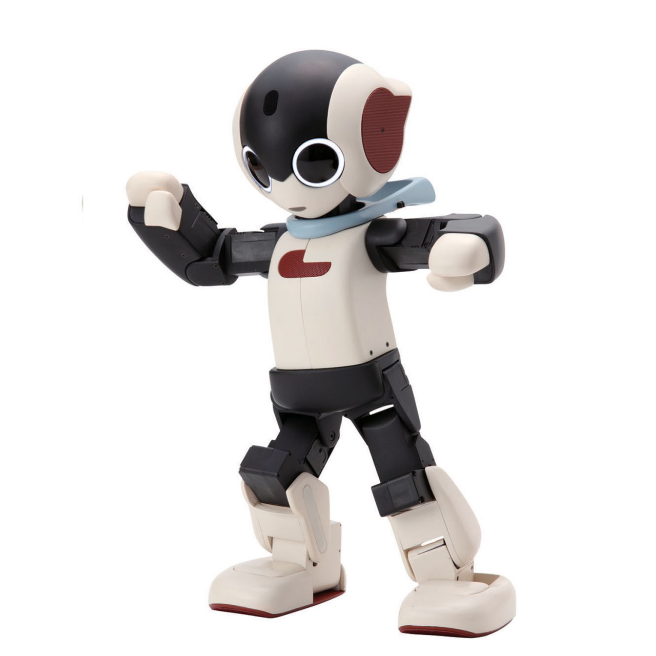 robot robi precio