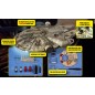Costruisci il Millennium Falcon - Kit completo