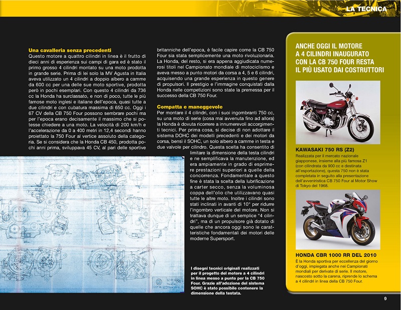 Pagina 11